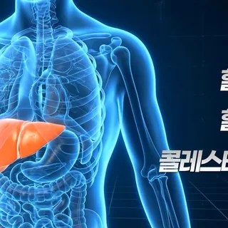 2025 건강관리 식품 Ai 영상 [Ai/편집]