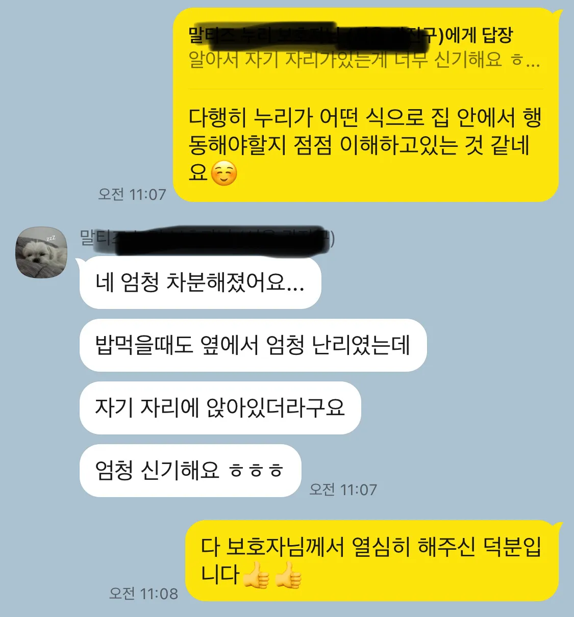 이미지 3