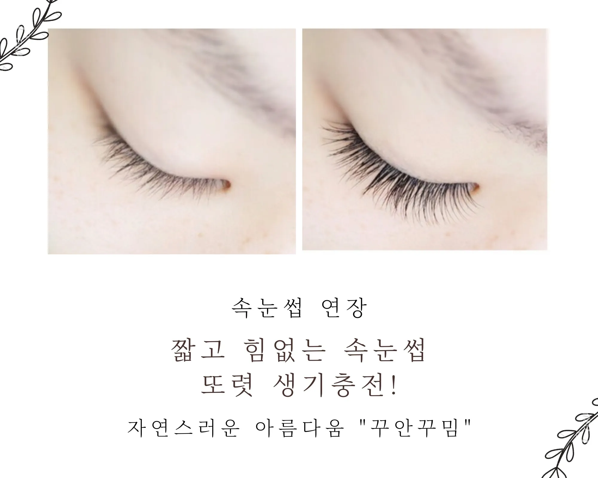 이미지 6