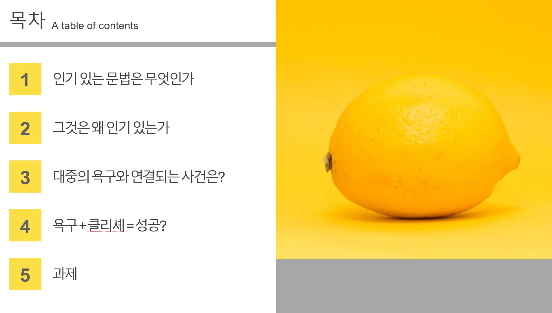 이미지 5