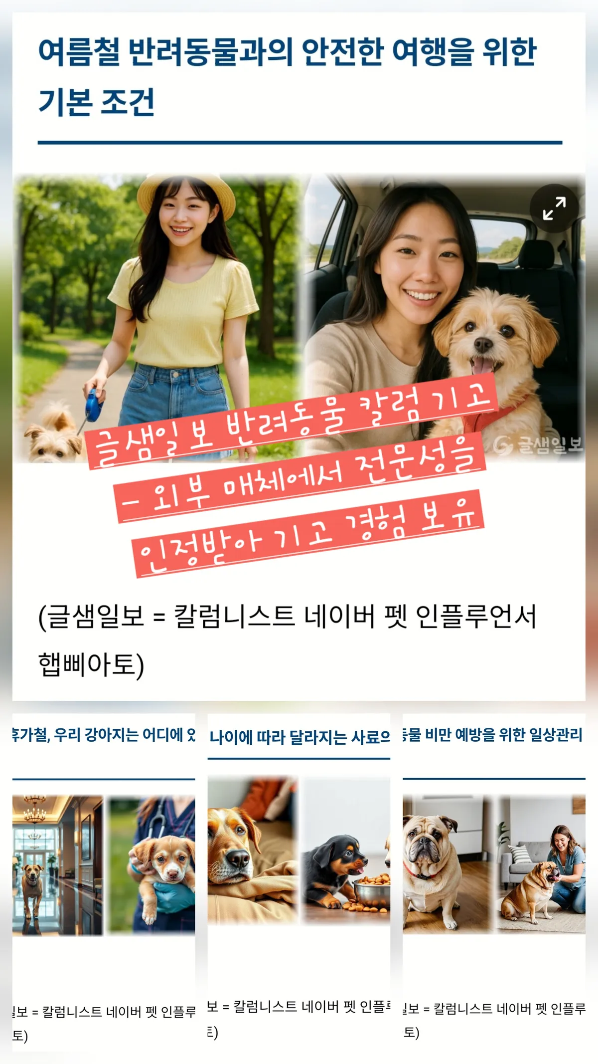 이미지 7