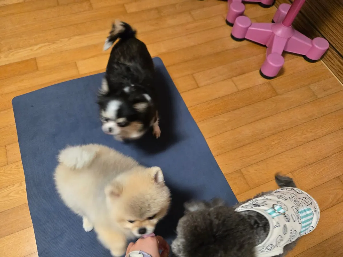 포트폴리오 이미지