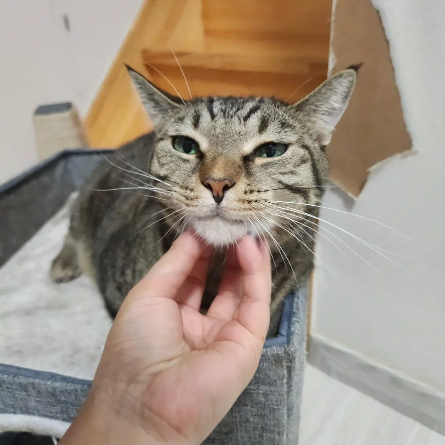 이미지 5