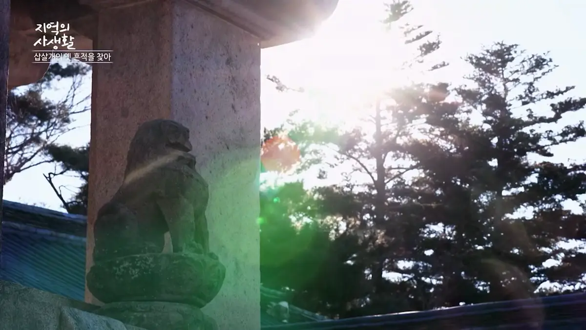 이미지 5