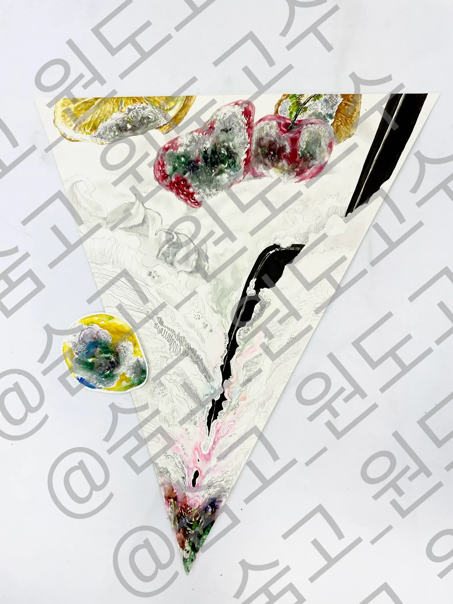 이미지 12