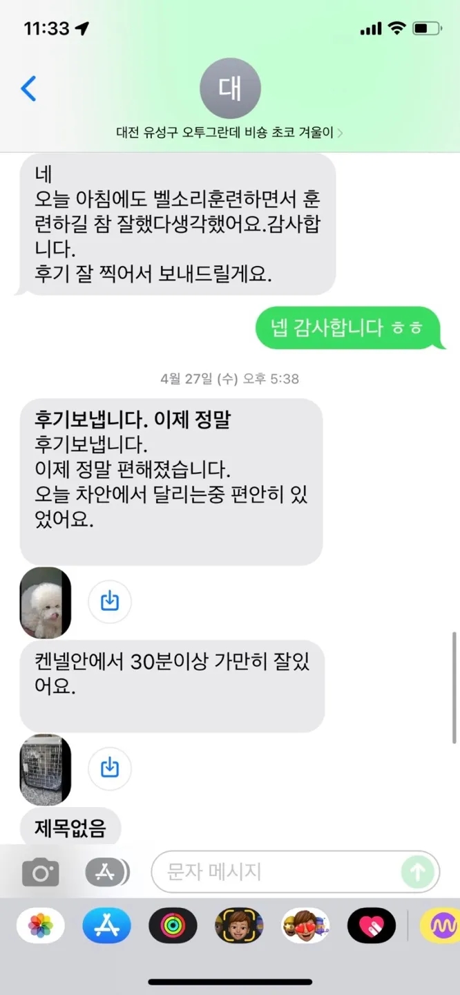 이미지 6