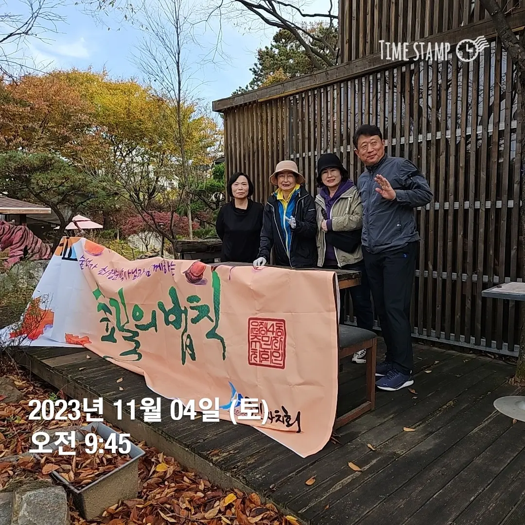 이미지 5