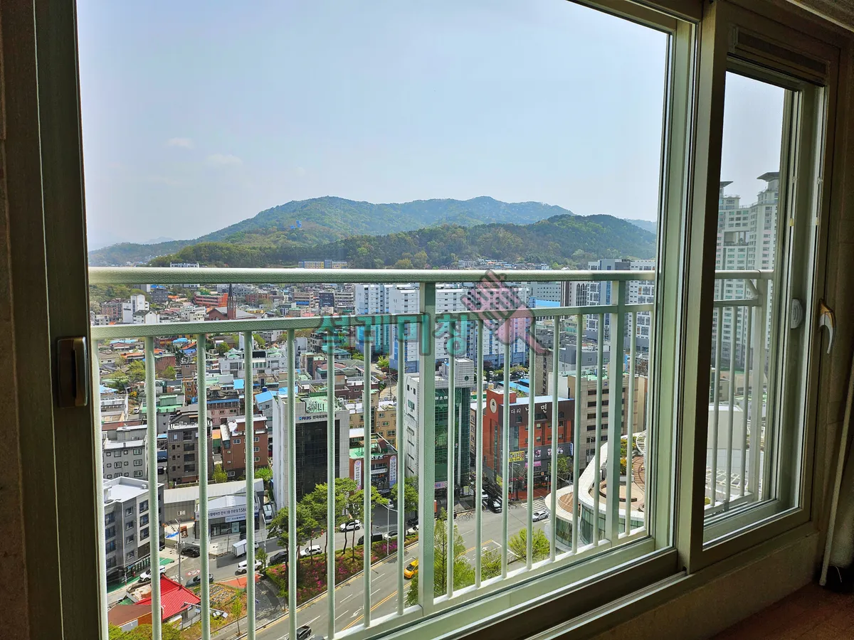 이미지 8