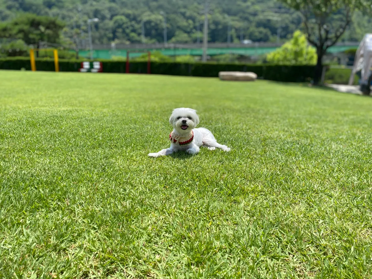 이미지 6