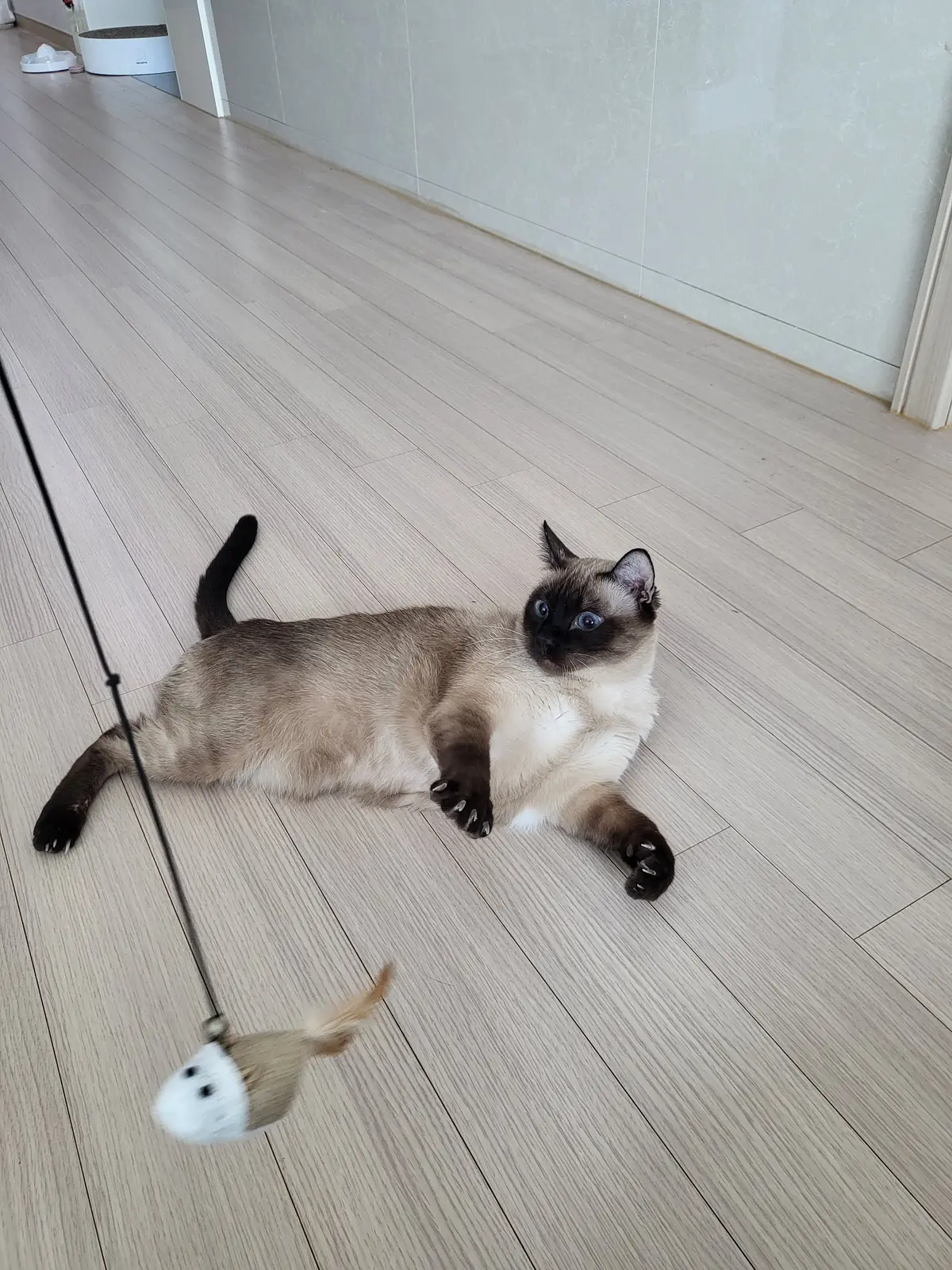 이미지 8