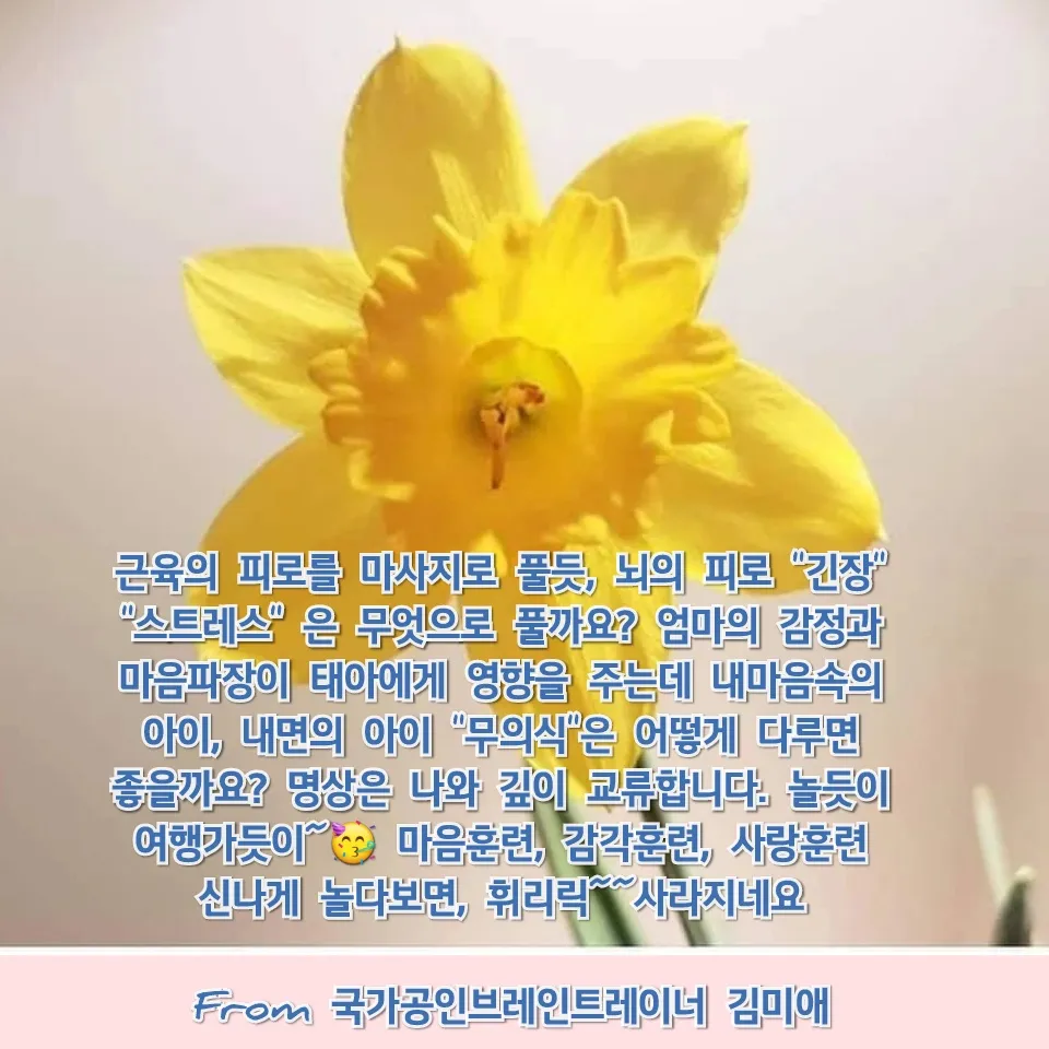 이미지 3