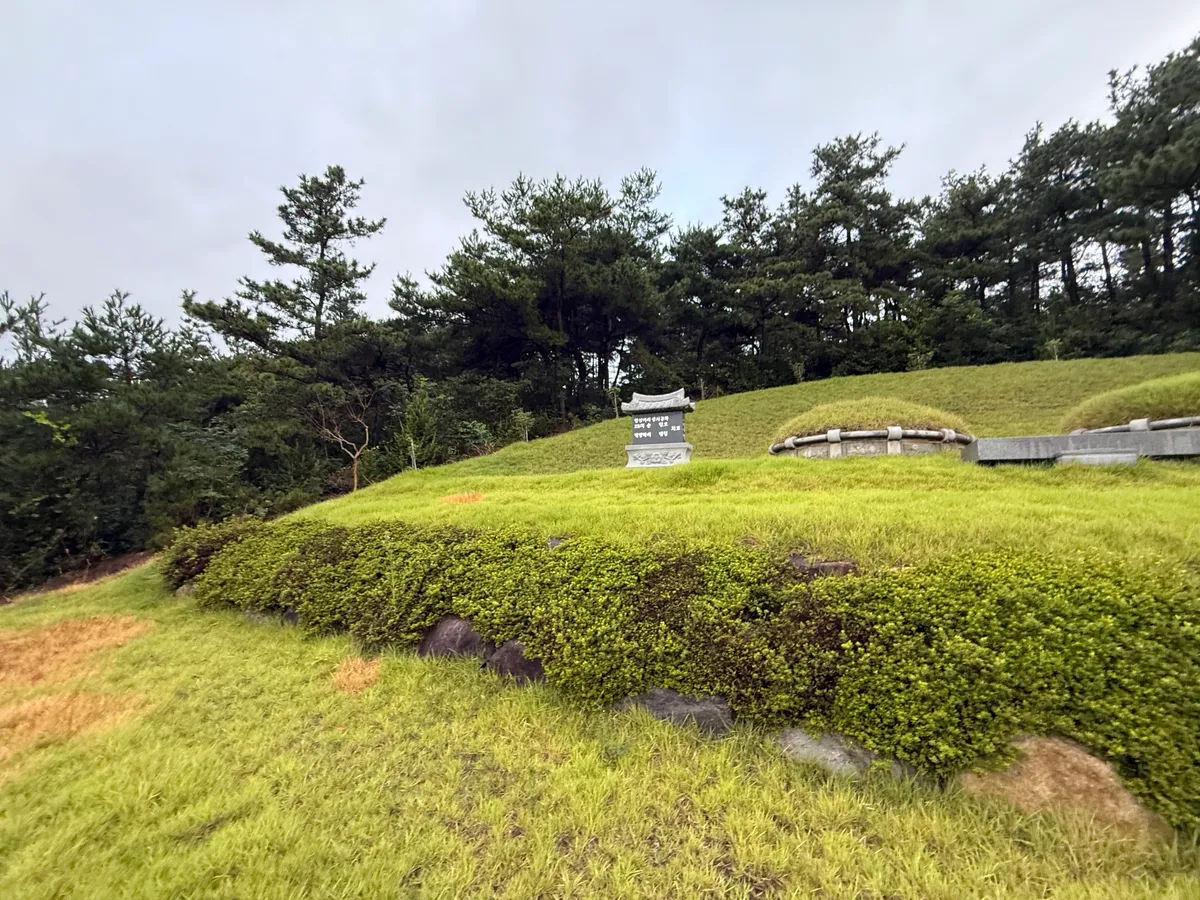 이미지 8