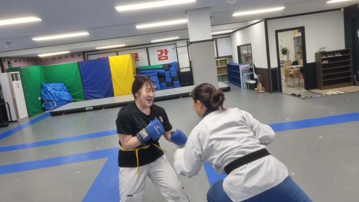 이미지 8