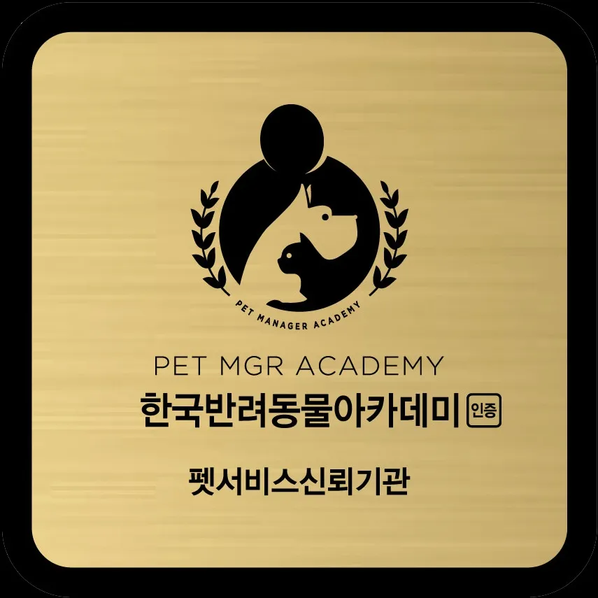 이미지 11
