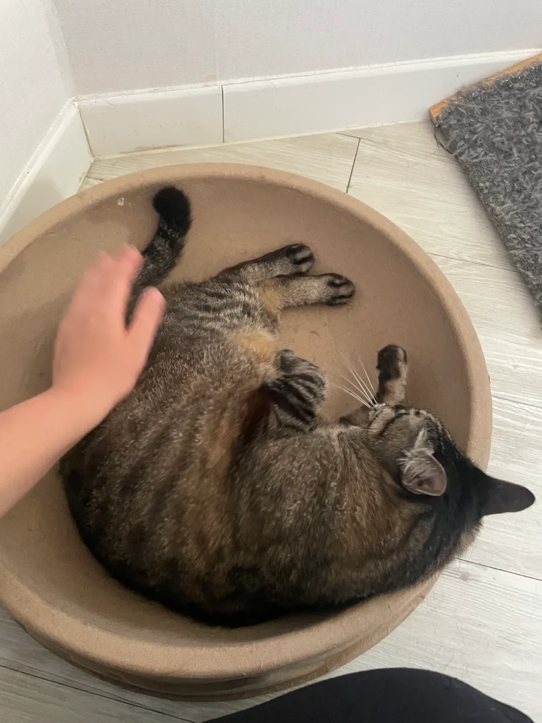 이미지 7