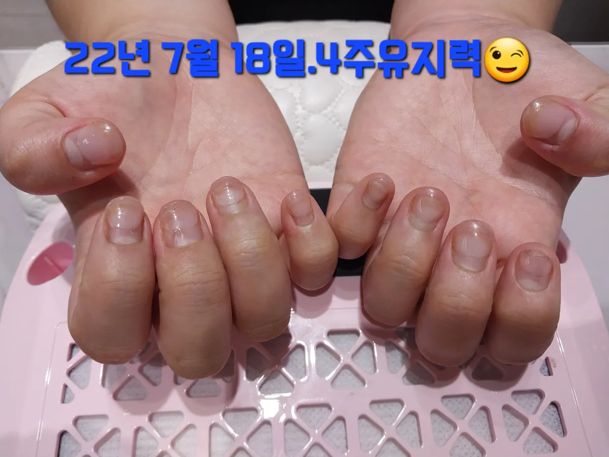 이미지 5