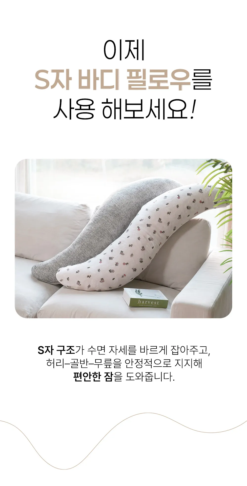 이미지 6