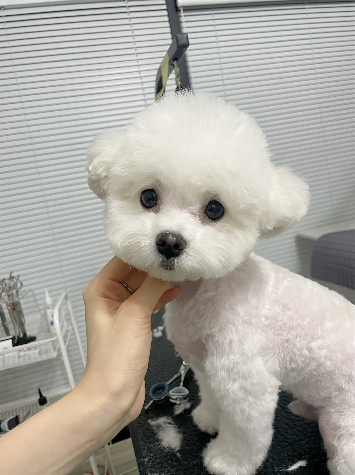 이미지 10