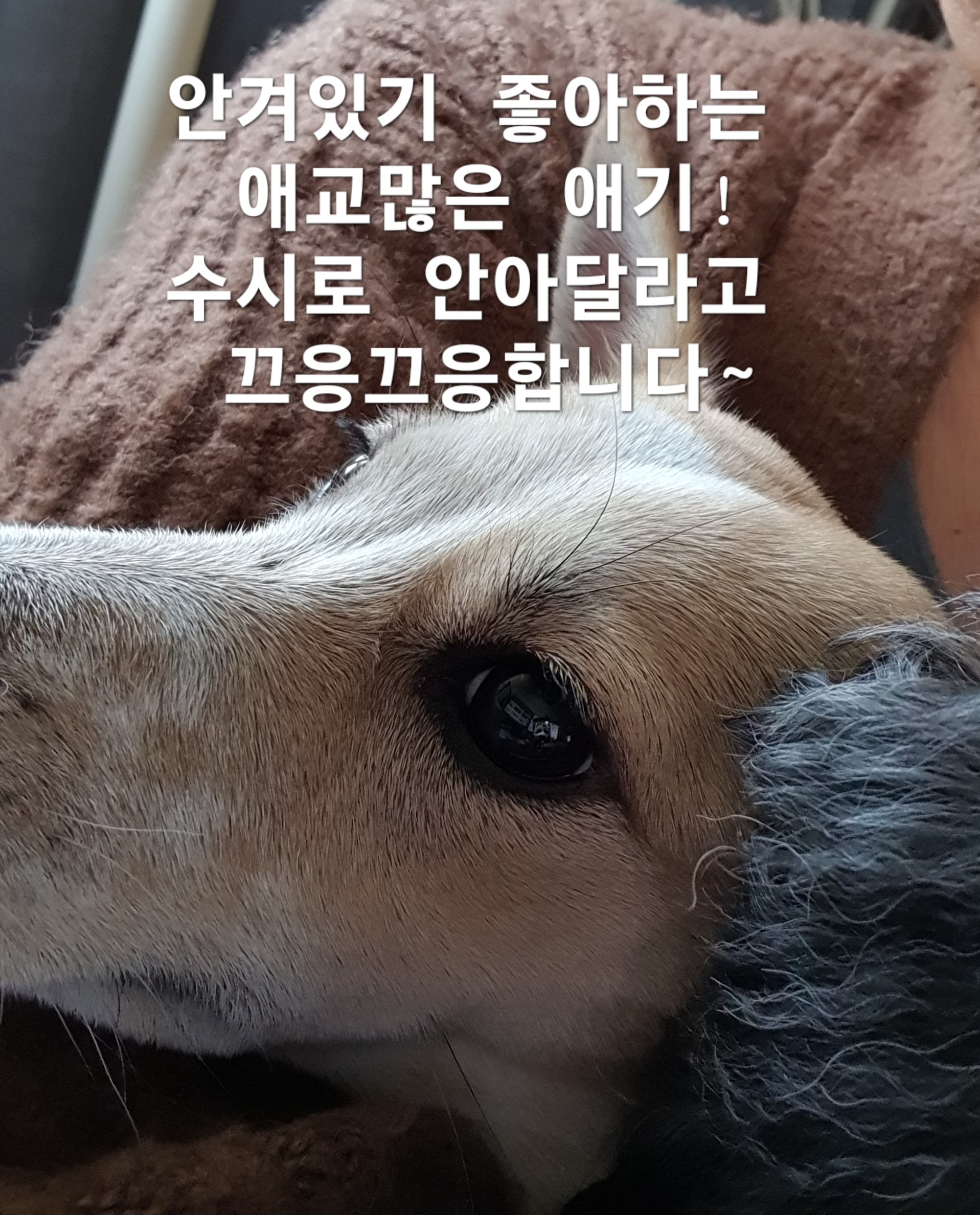 이미지 3