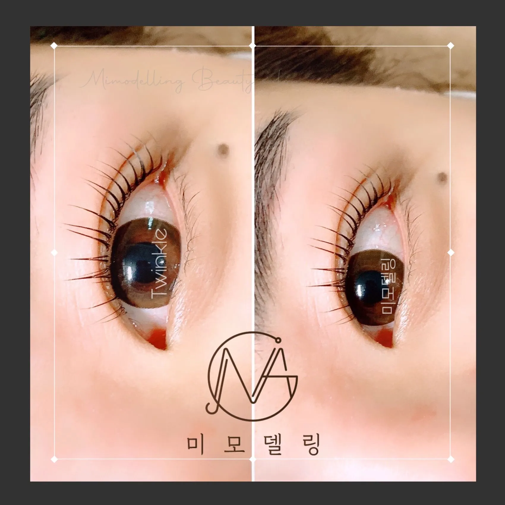 이미지 6