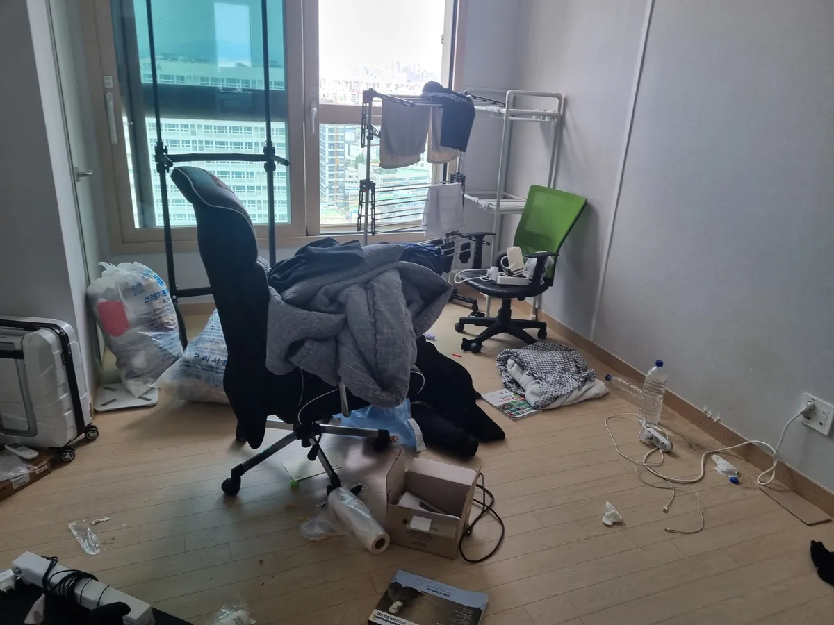 이미지 5
