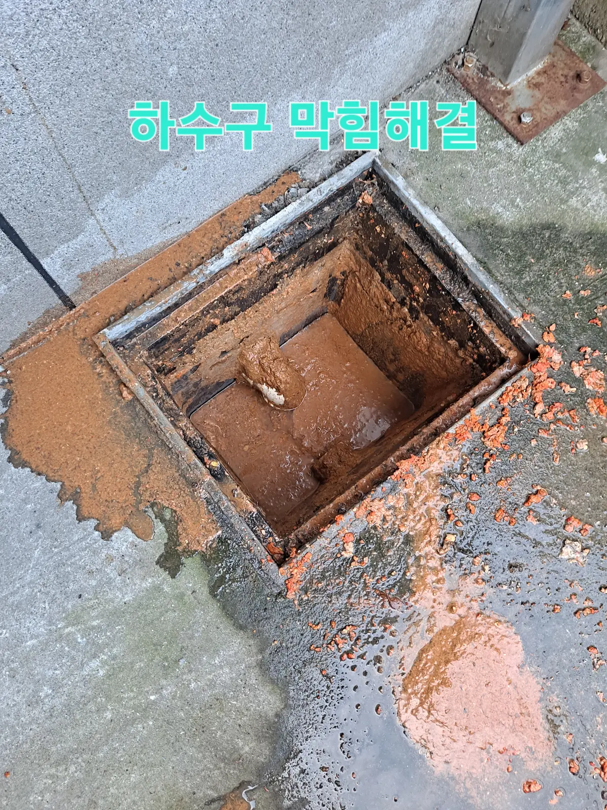 이미지 9