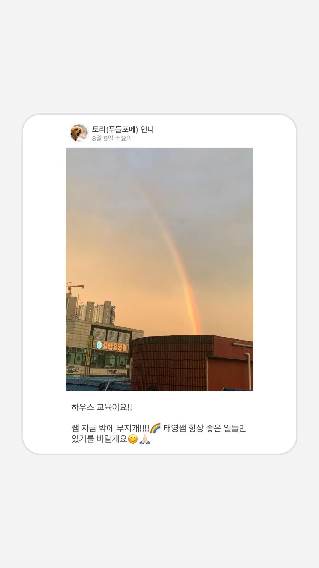 이미지 6