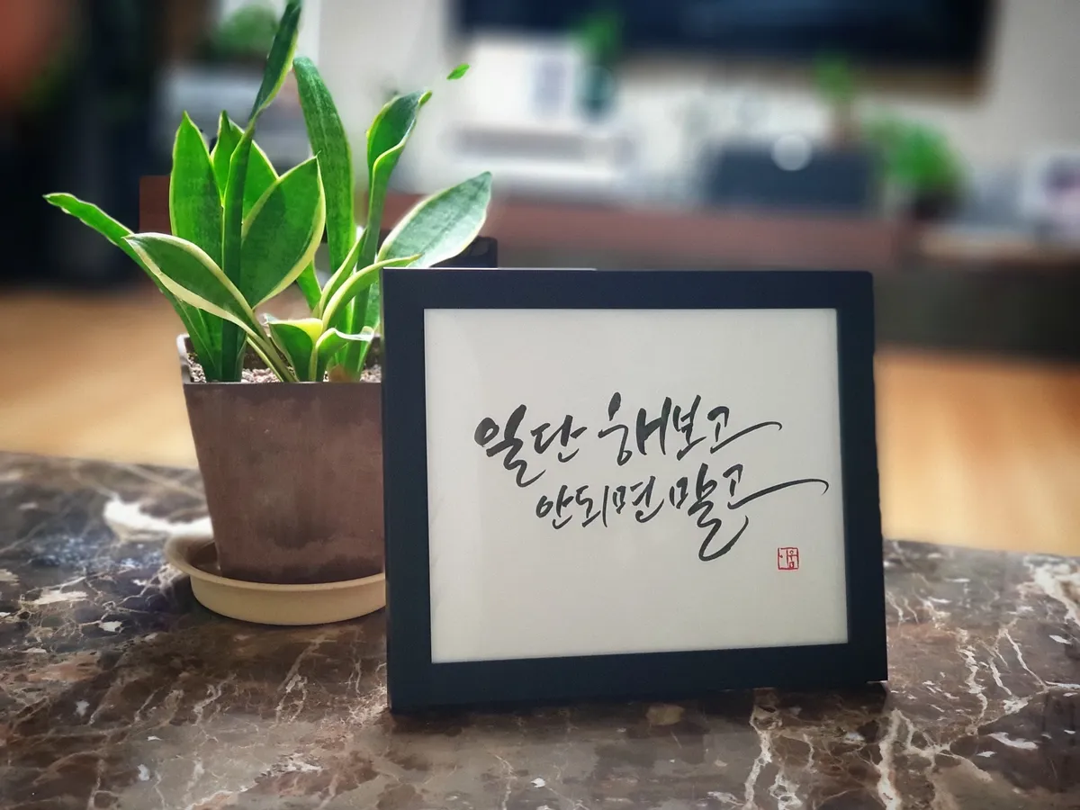 이미지 4