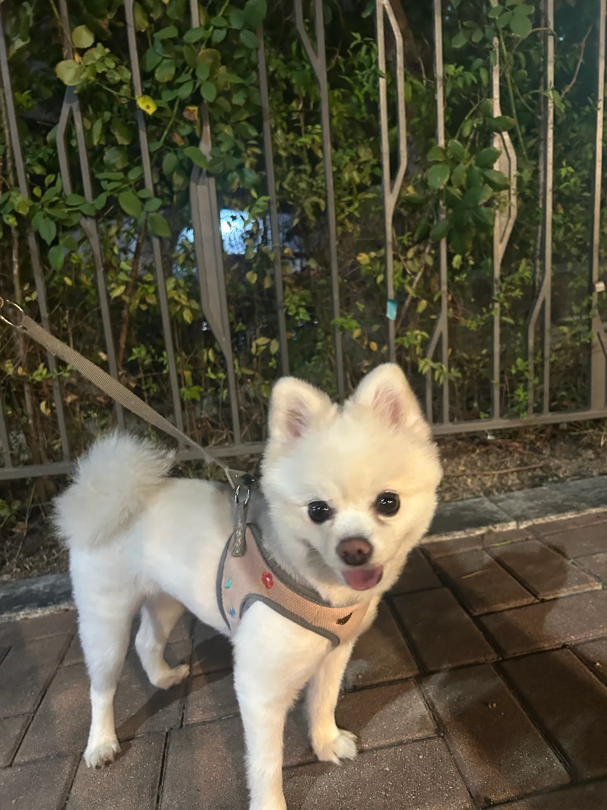 이미지 8