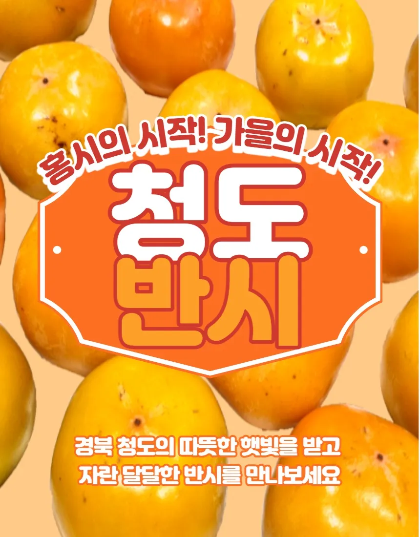 이미지 5