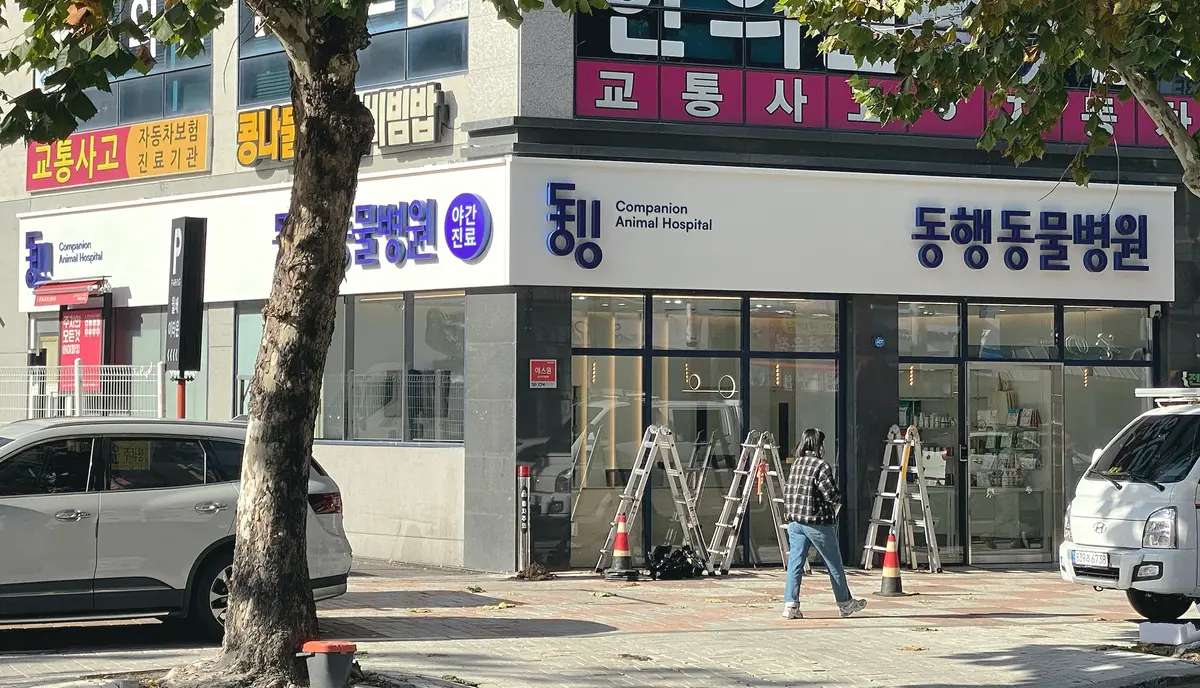 이미지 6