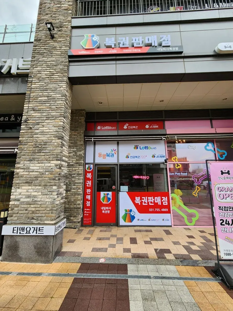 포트폴리오 대표 이미지