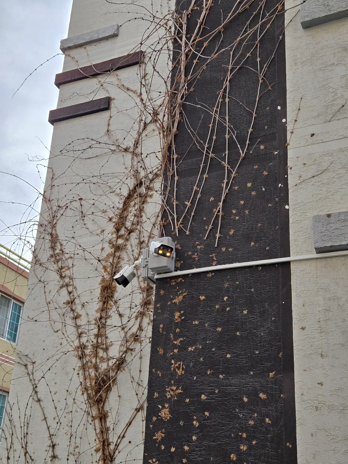 이미지 4