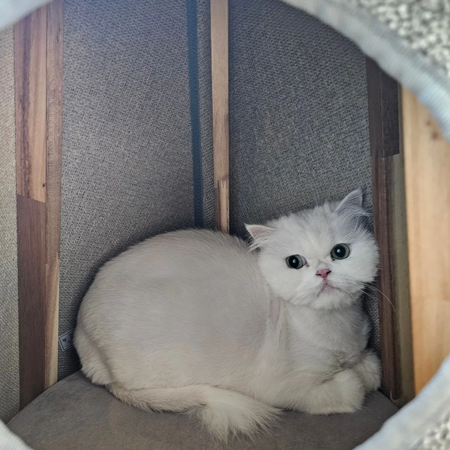 이미지 3