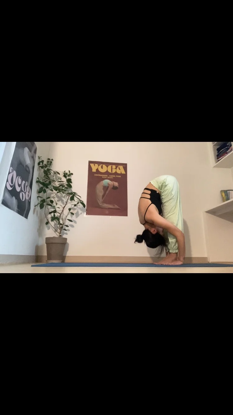 이미지 5