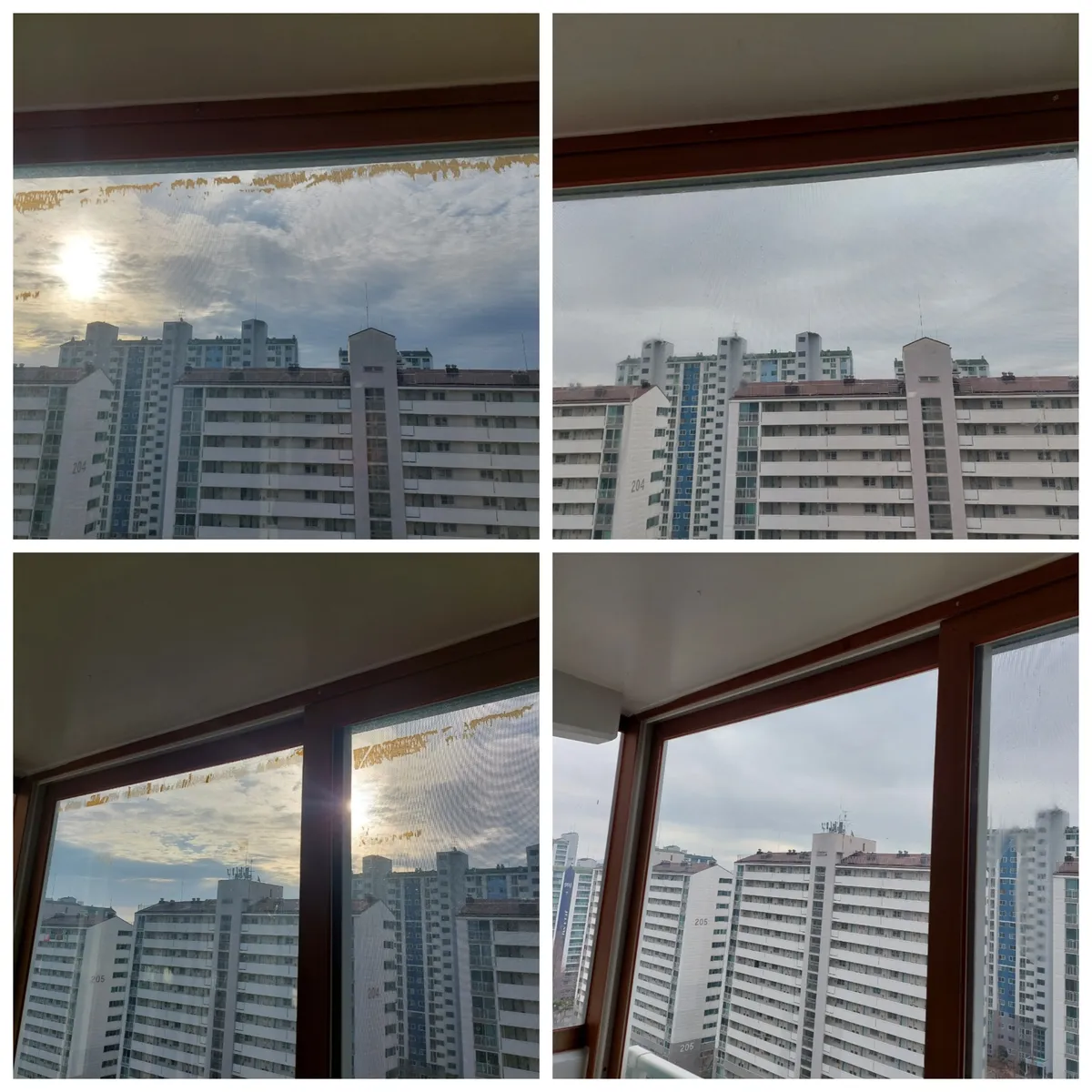 이미지 8