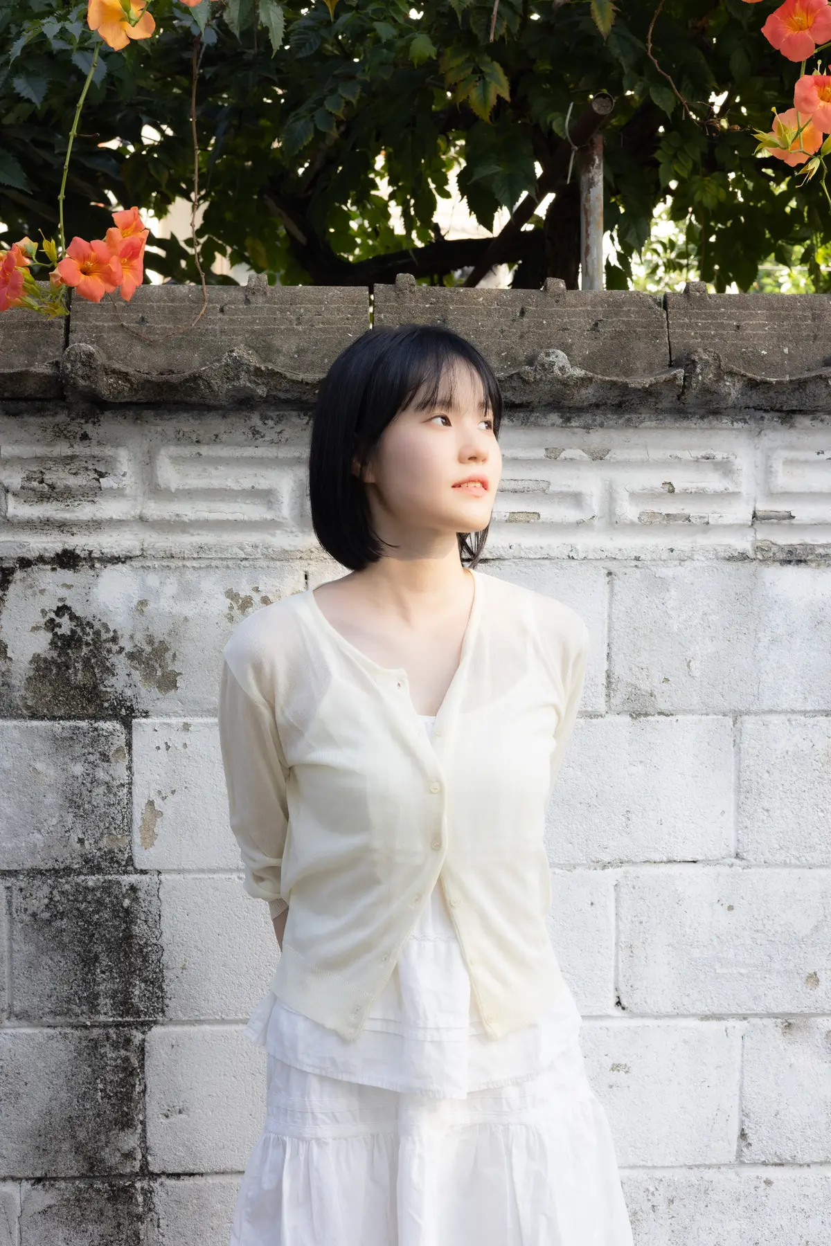 이미지 12