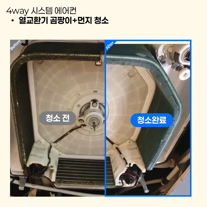 이미지 8