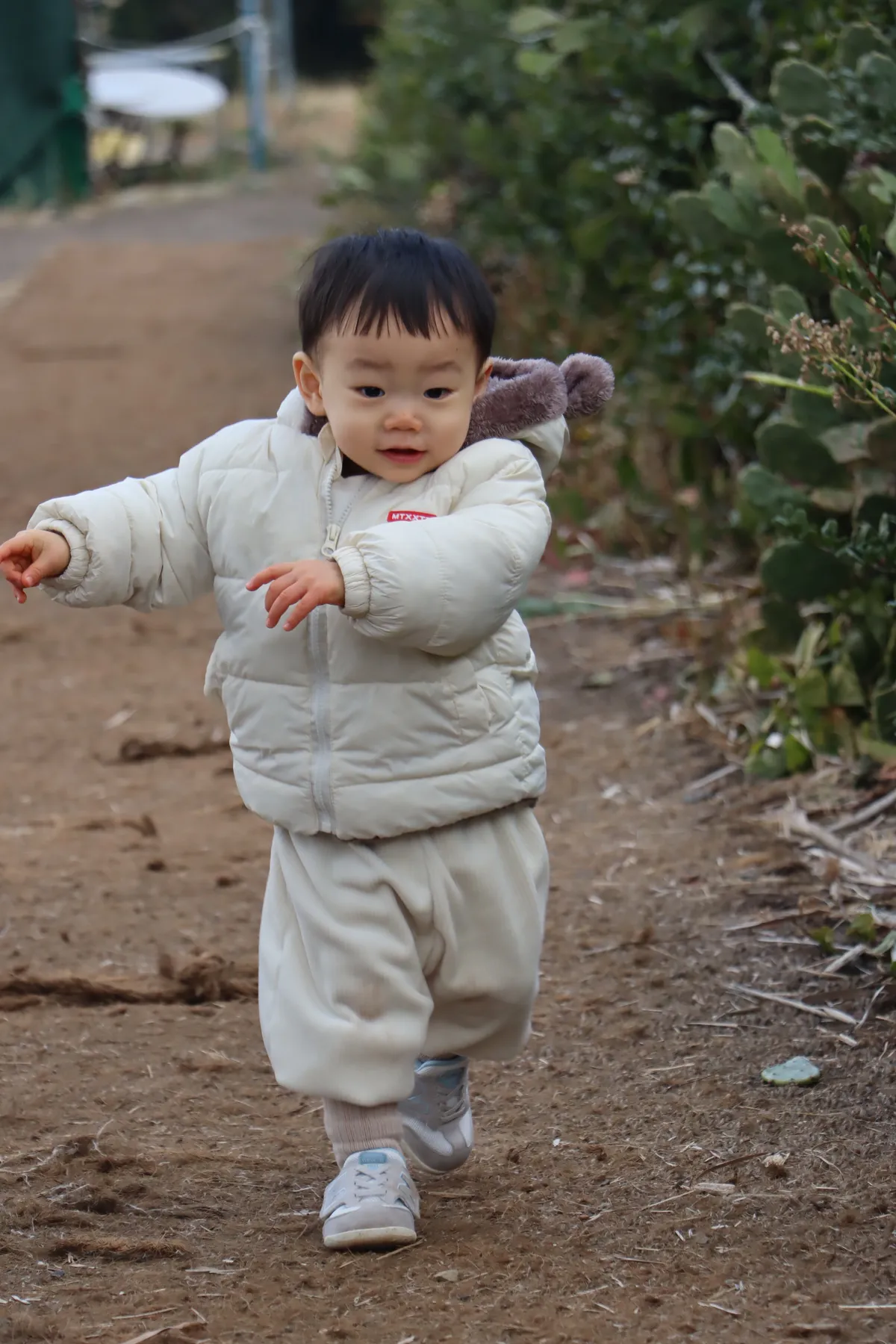 이미지 14