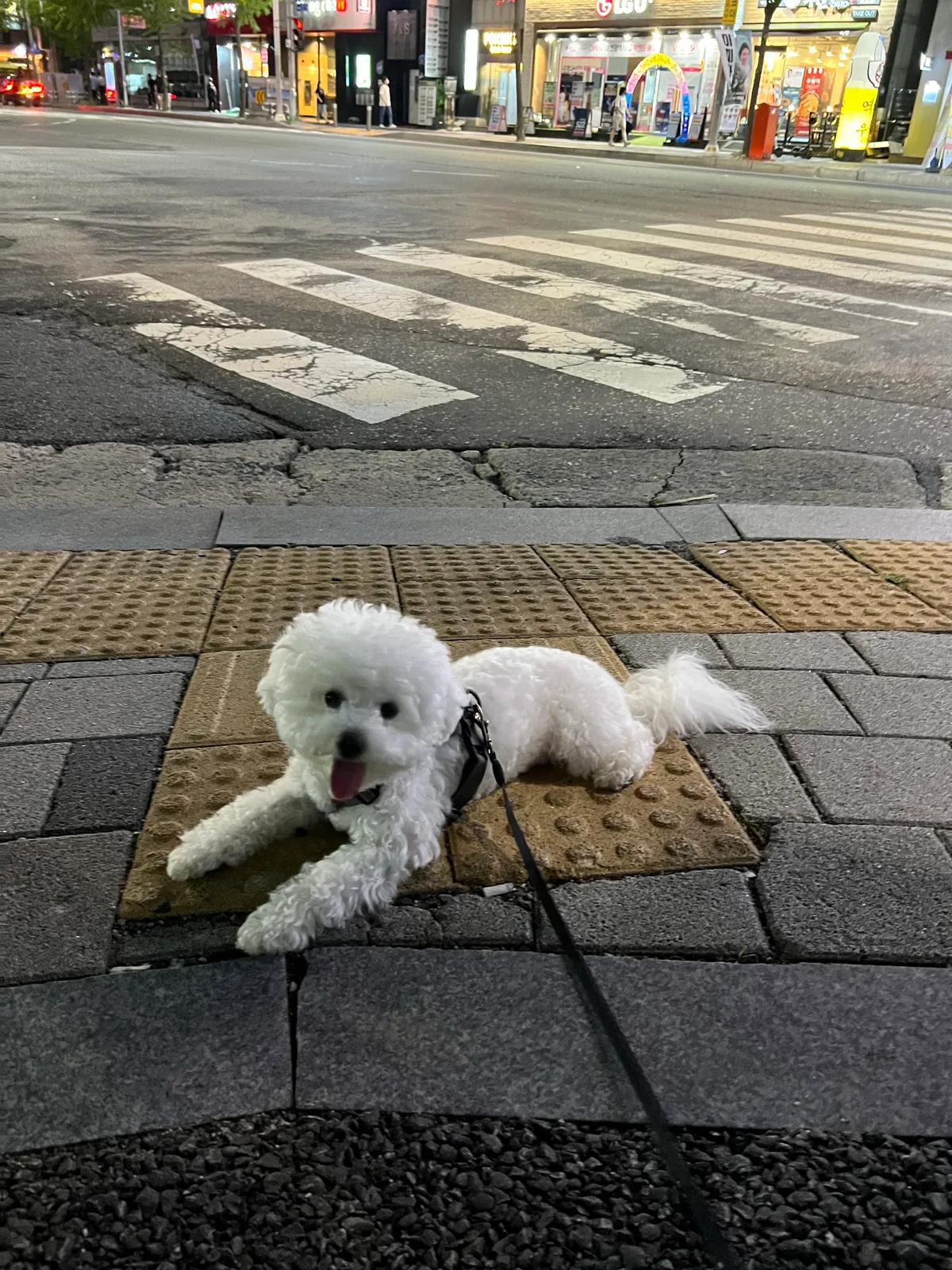 이미지 6