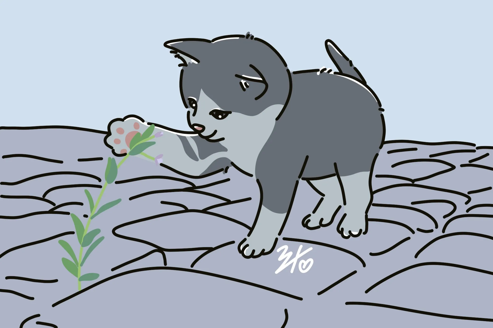 이미지 5