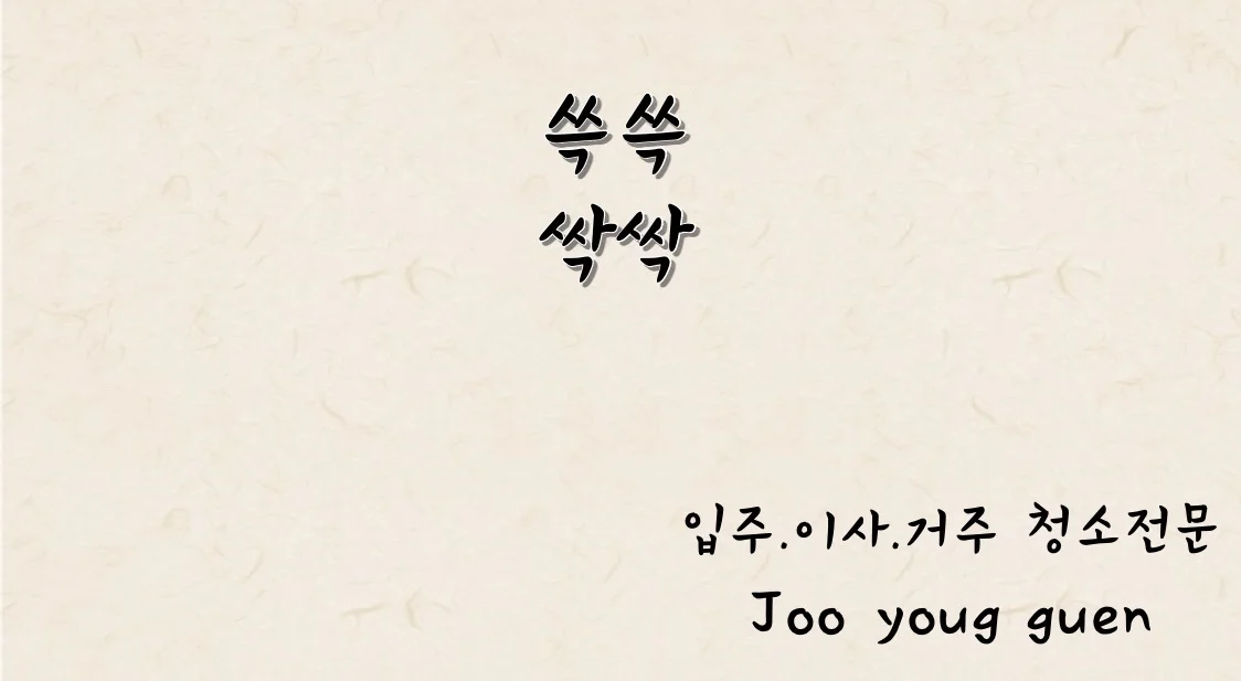 포트폴리오 이미지