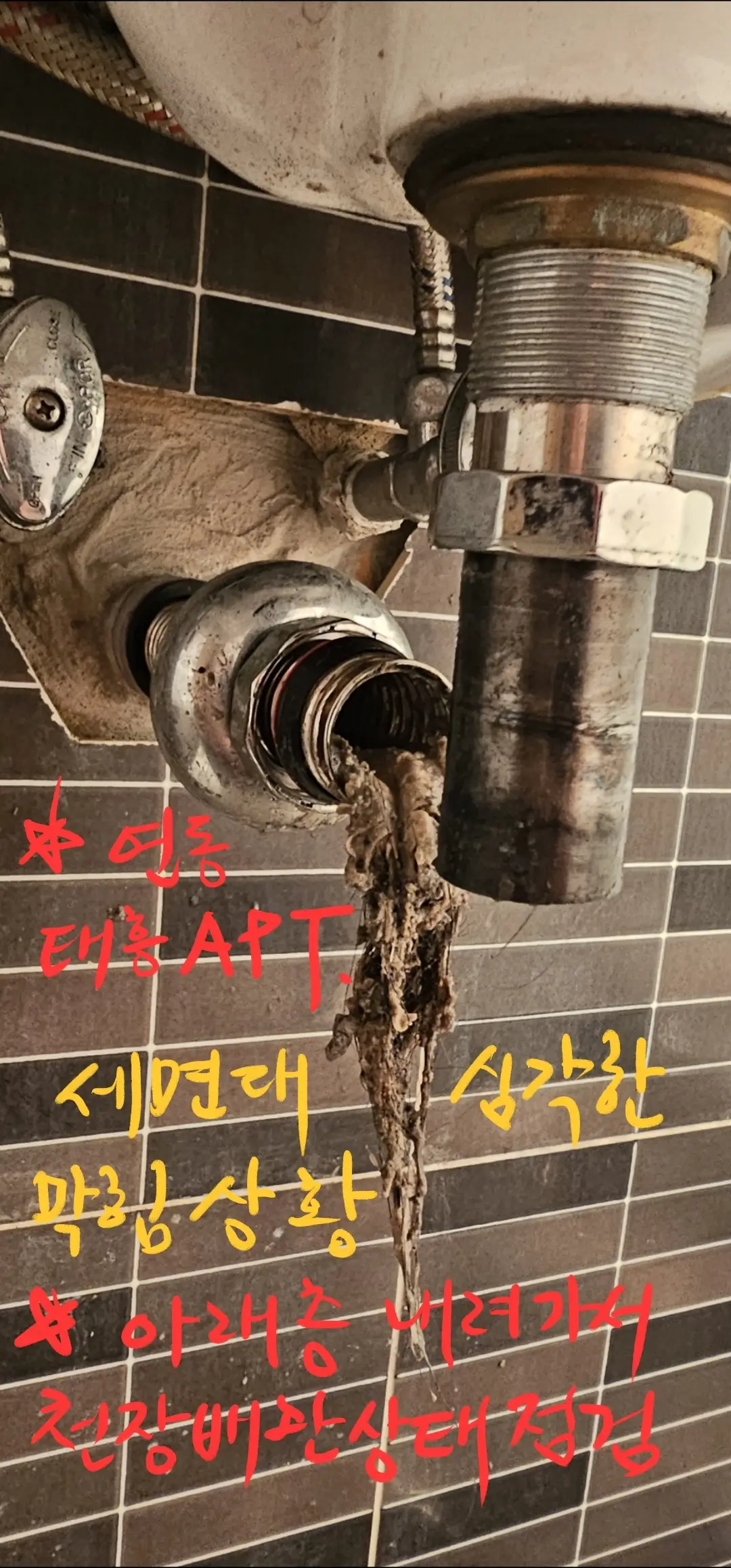 이미지 5