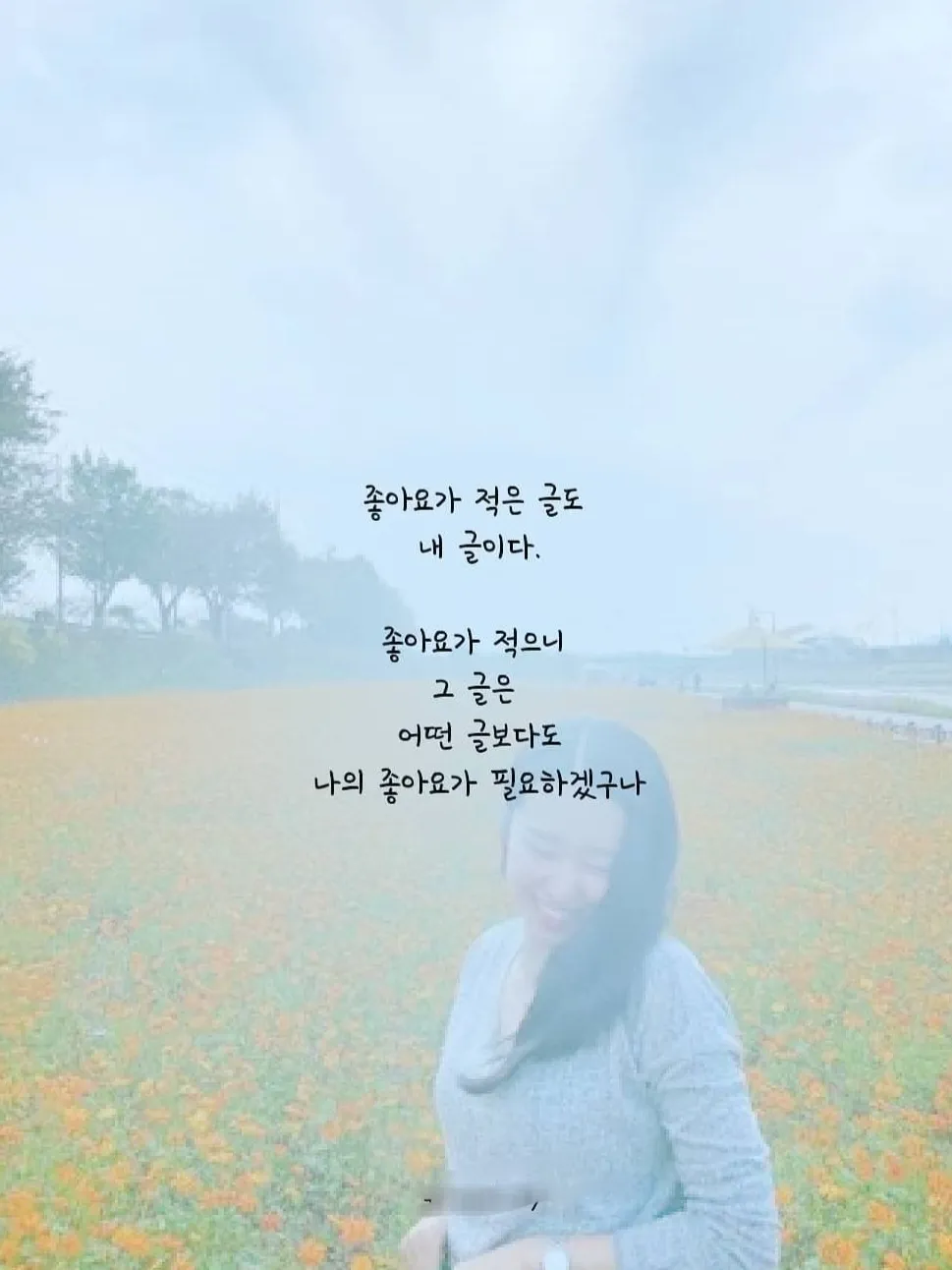 이미지 5