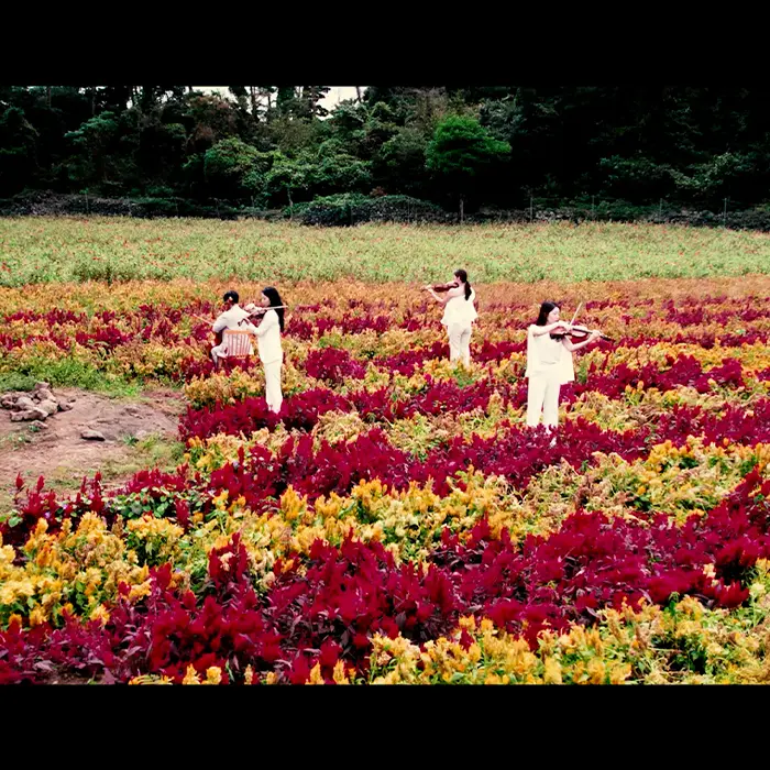 뮤직비디오 촬영 / 나디앙필름 - 숨고, 숨은고수 뮤직비디오 촬영 