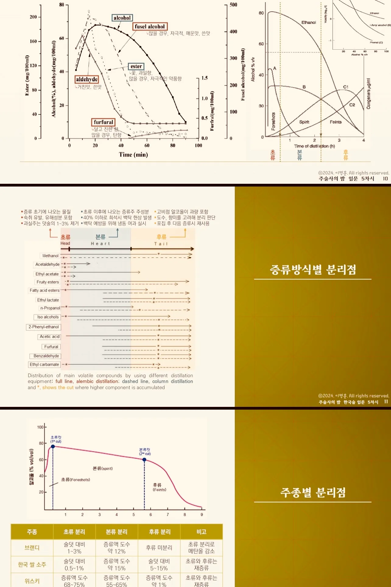 이미지 12