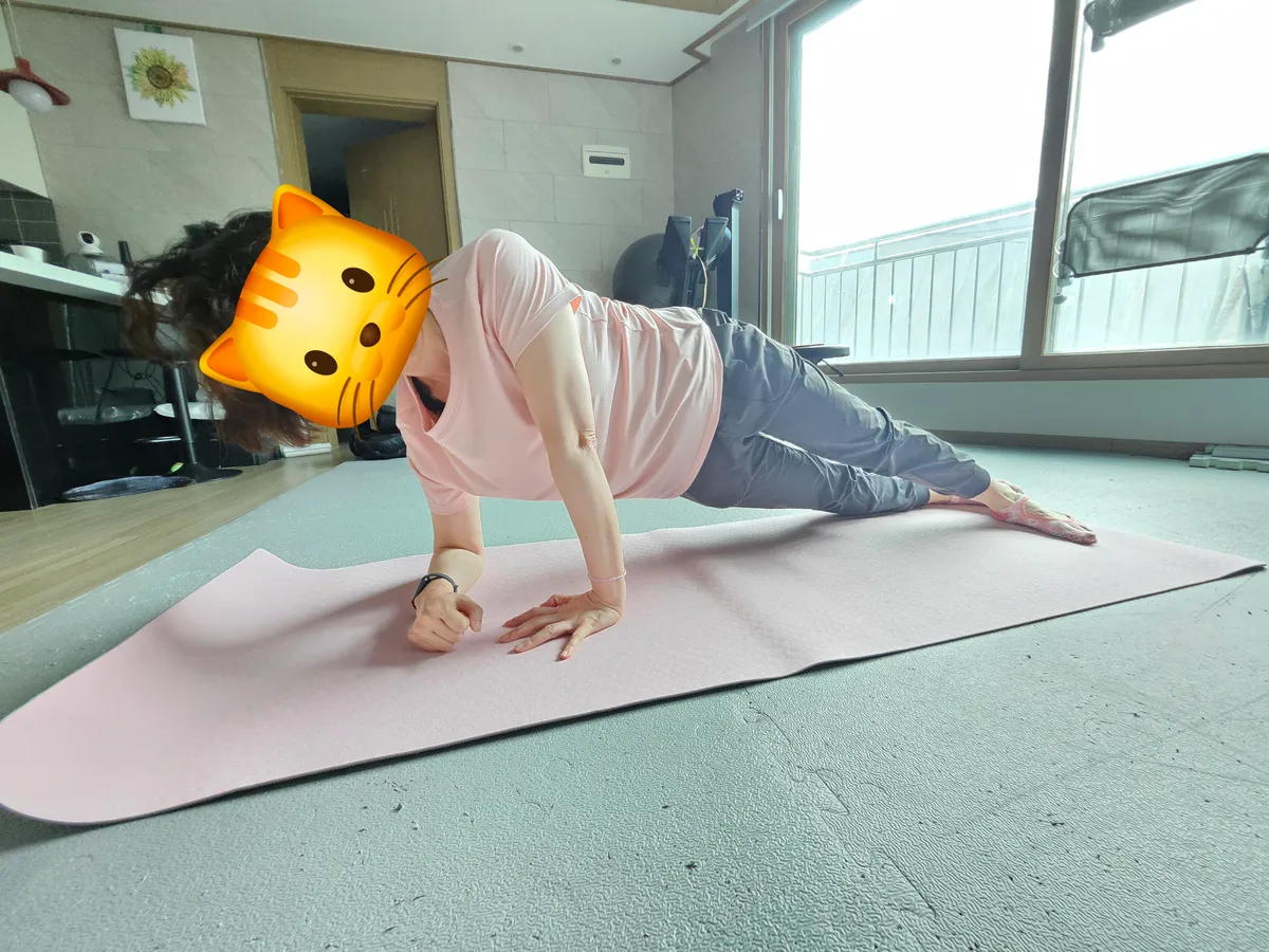 이미지 3