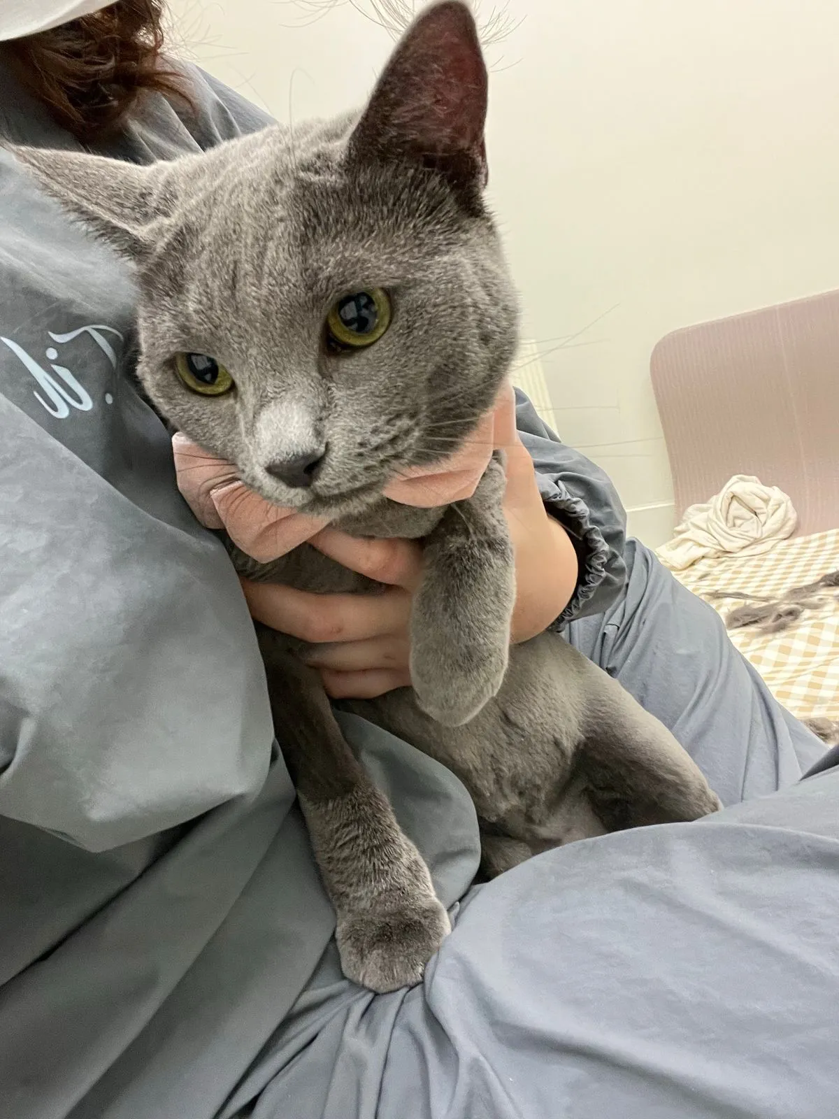 이미지 8
