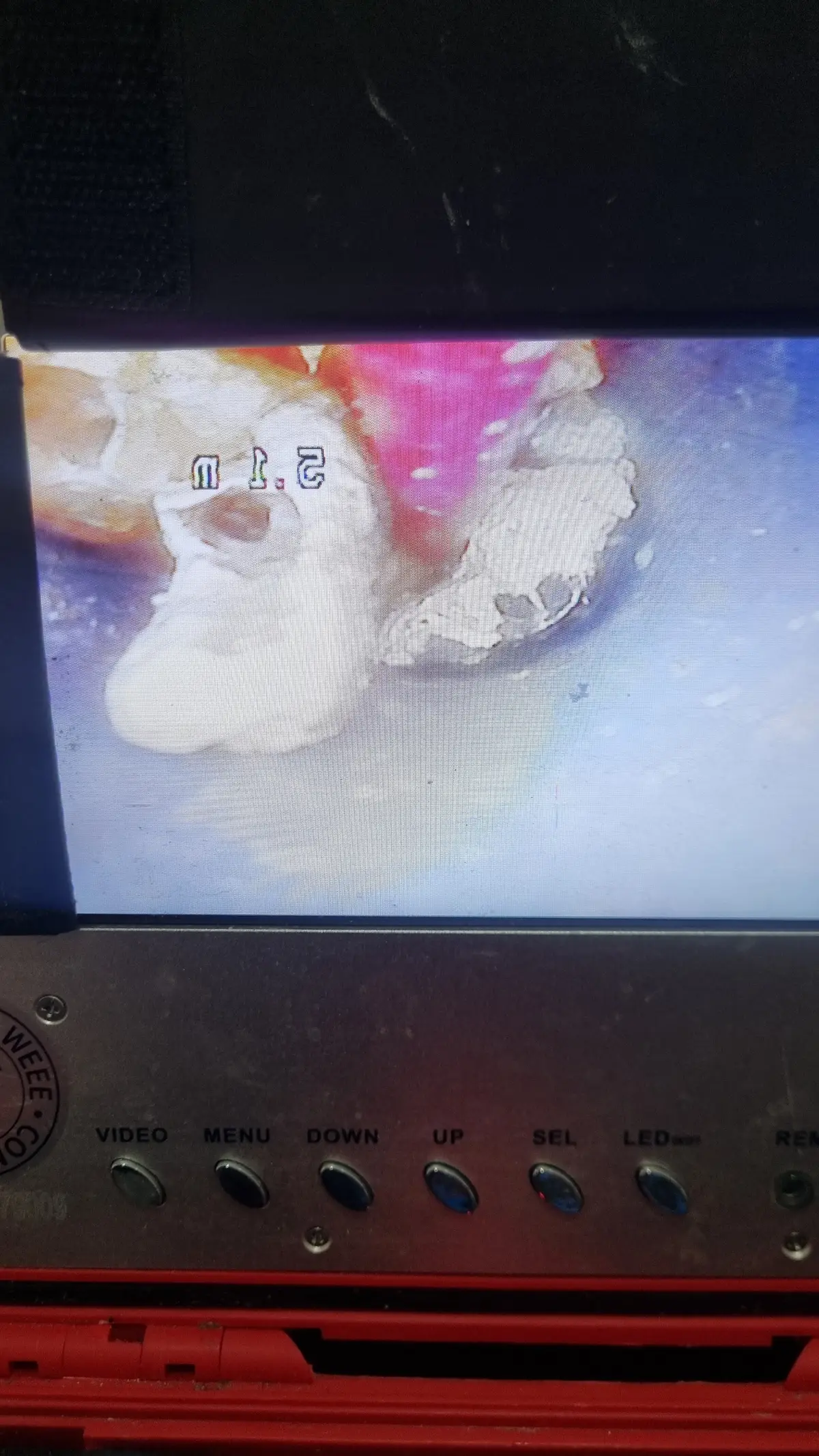 이미지 5