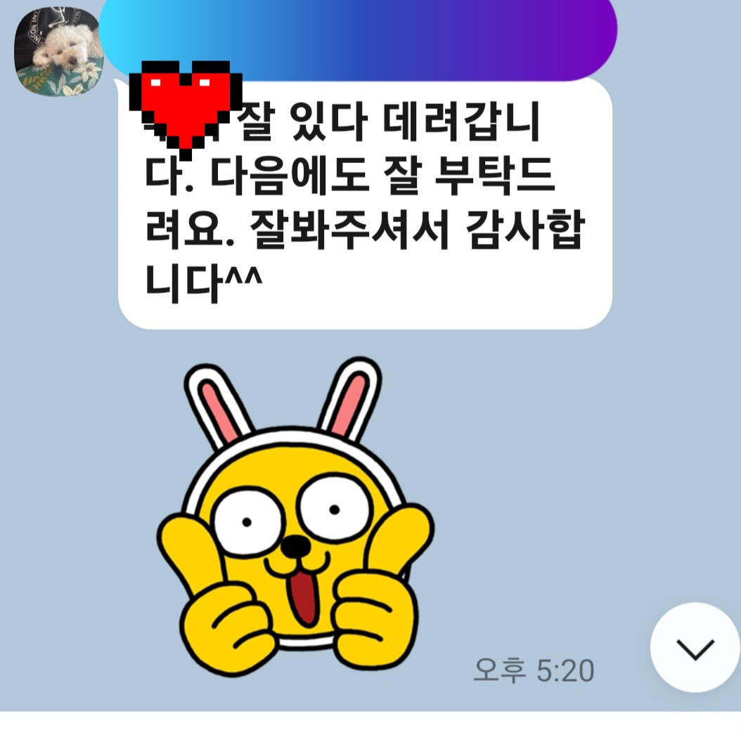 이미지 9